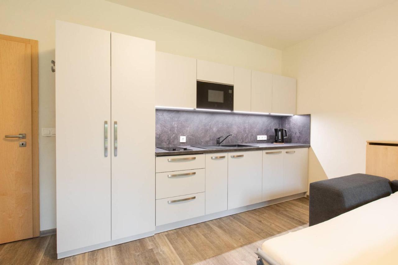 Apartmany Pod Zakletym - Hotel Ricky エクステリア 写真