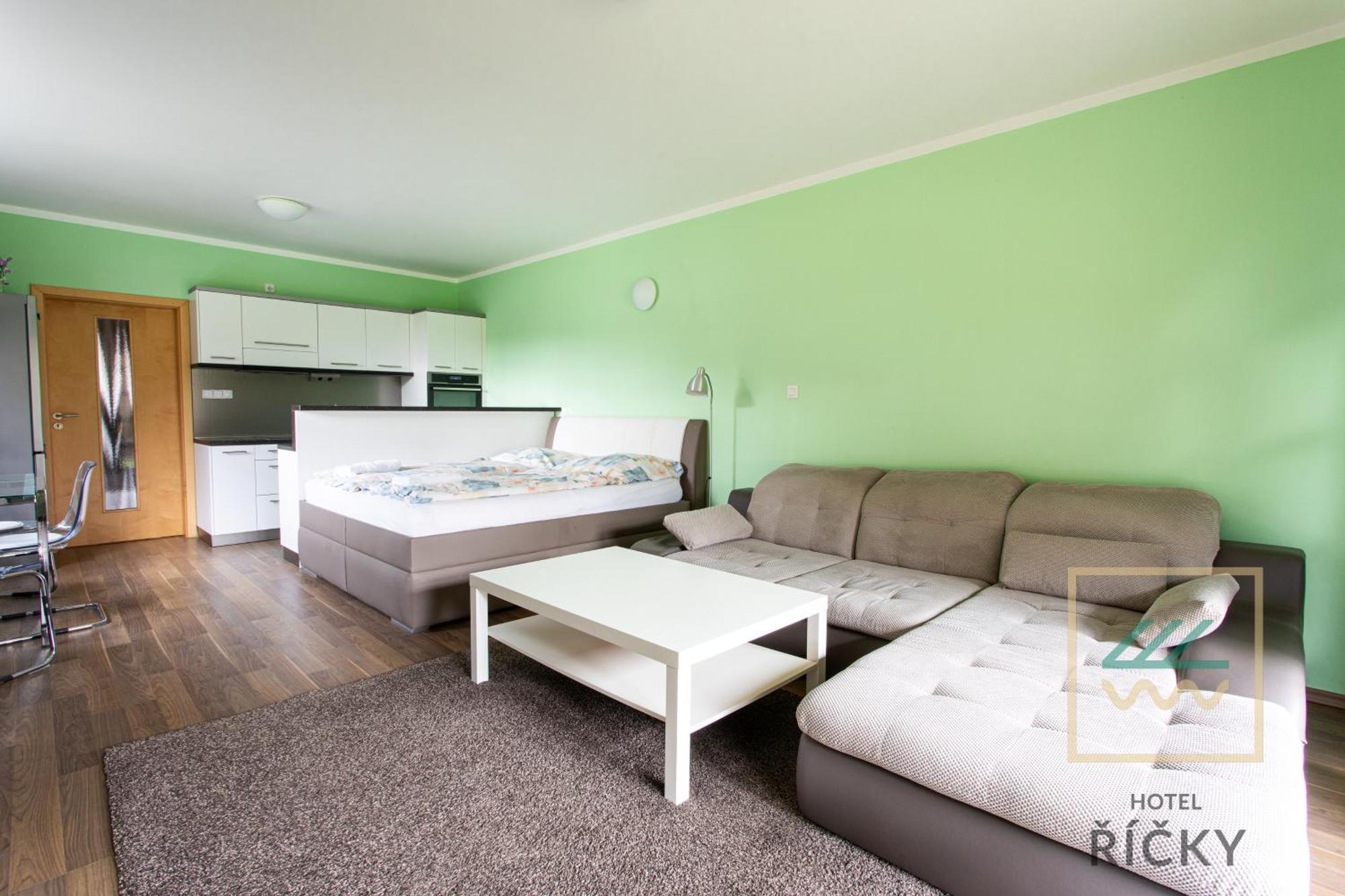 Apartmany Pod Zakletym - Hotel Ricky エクステリア 写真